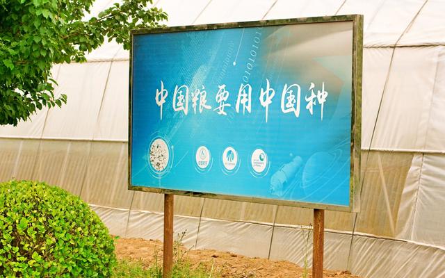 什么是種子處理？你有了解嗎？